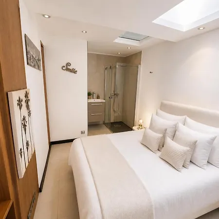 Penthouse Palm Διαμέρισμα Κάννες