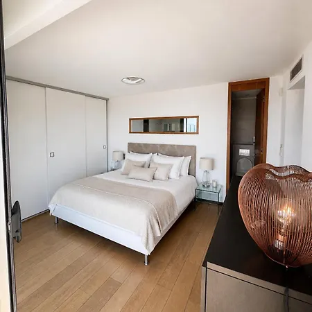 Penthouse Palm Διαμέρισμα Κάννες